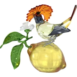 Idyllia Acchiappamosche reale