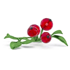 Idyllia Bacche Rosse