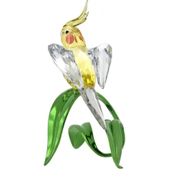 Idyllia Calopsitta