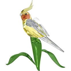 Idyllia Calopsitta