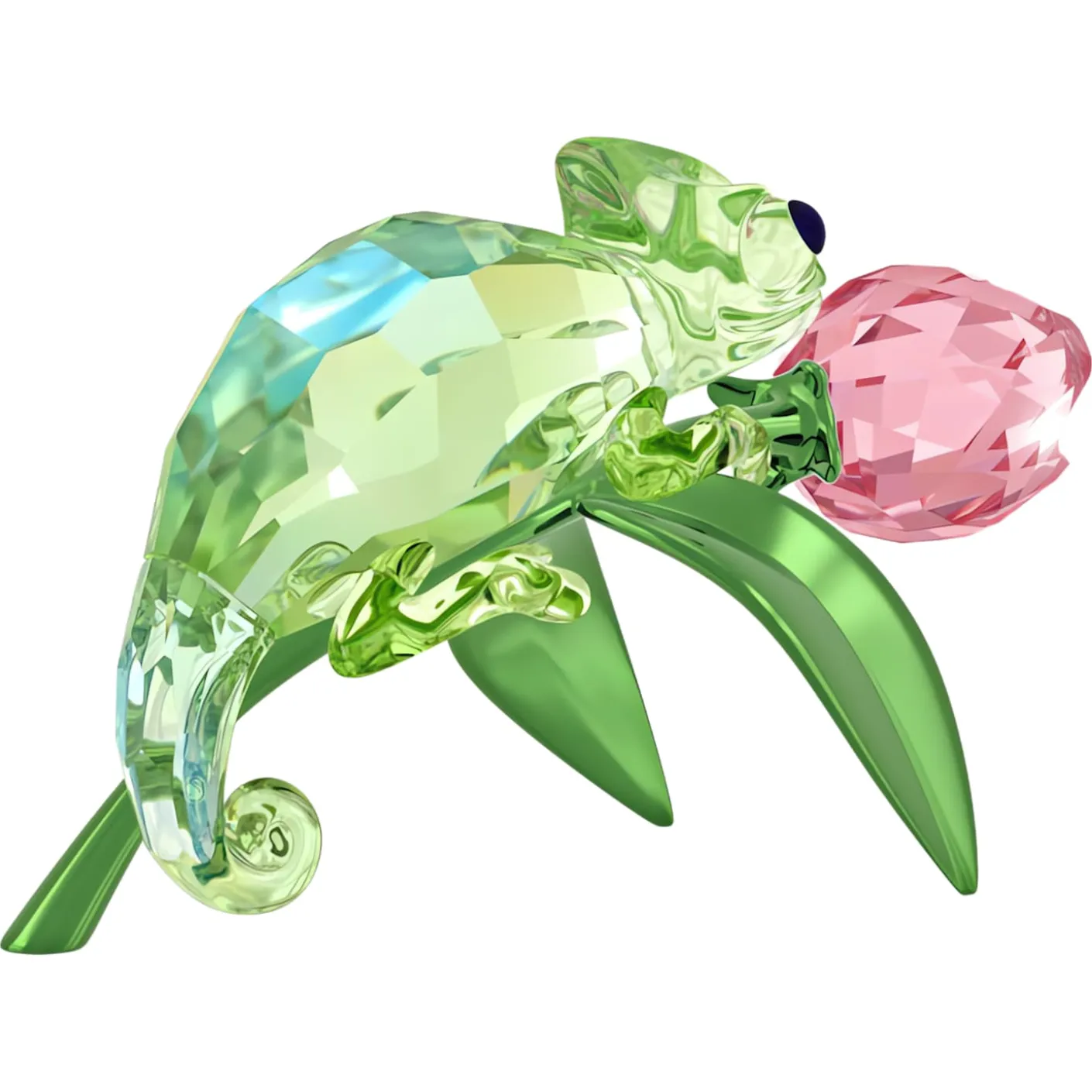 Idyllia Camaleonte e Tulipano