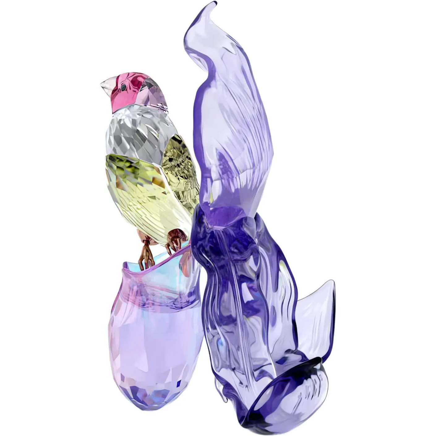 Idyllia Diamante di Gould e Orchidea