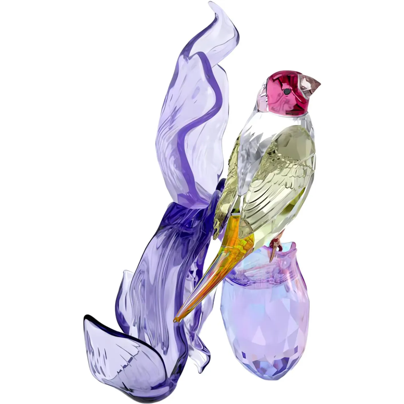 Idyllia Diamante di Gould e Orchidea