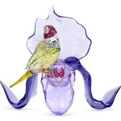 Idyllia Diamante di Gould e Orchidea