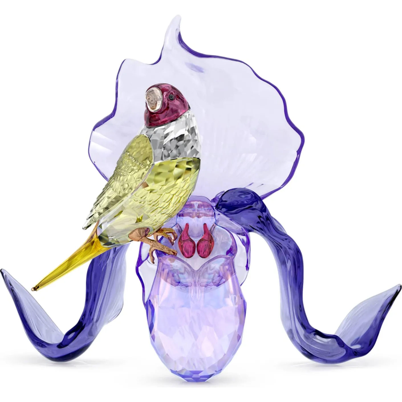 Idyllia Diamante di Gould e Orchidea