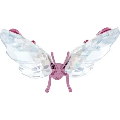 Idyllia Farfalla