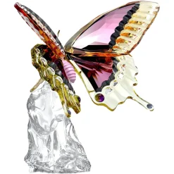 Idyllia Farfalla
