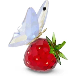 Idyllia Farfalla e Fragola