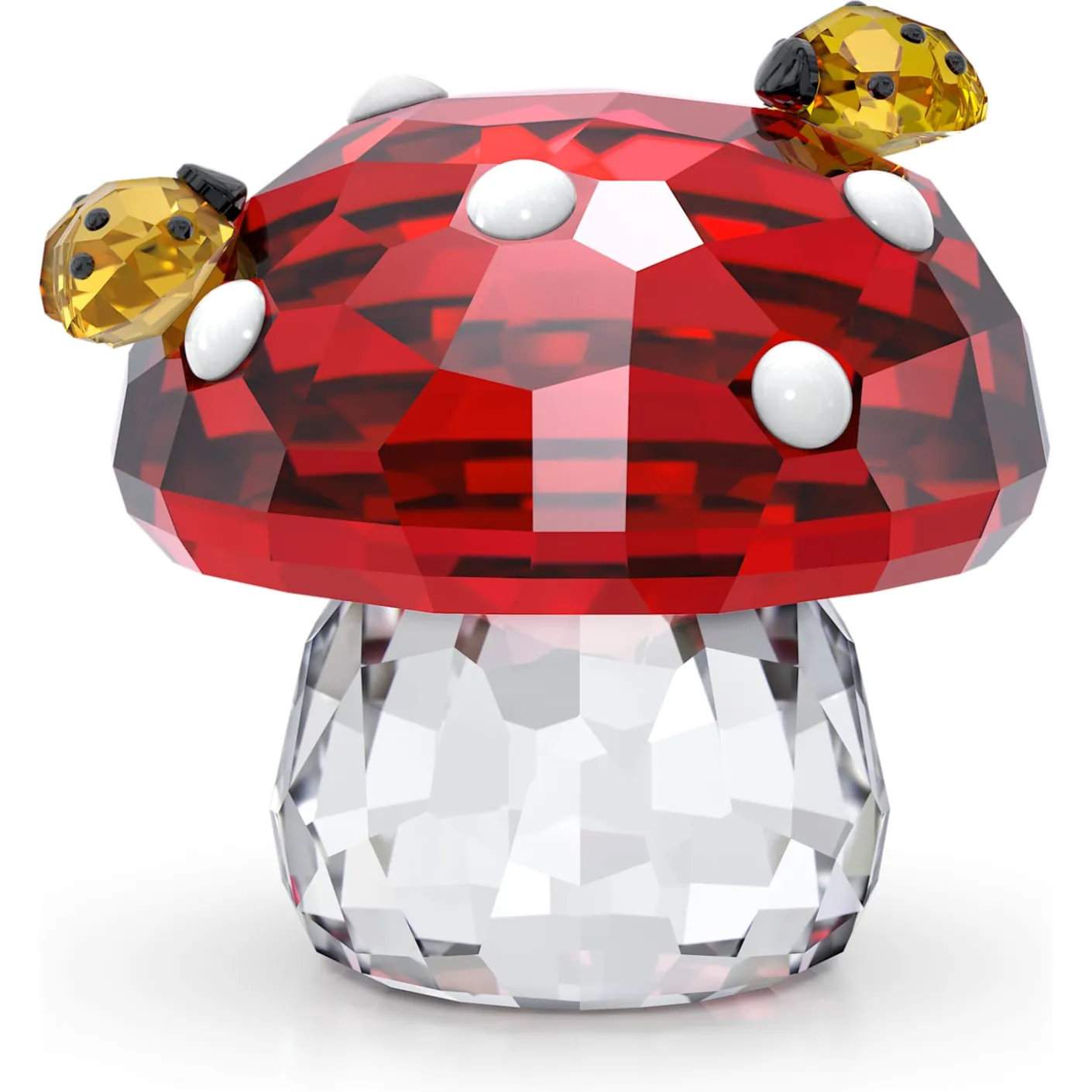 Idyllia Fungo e Coccinelle