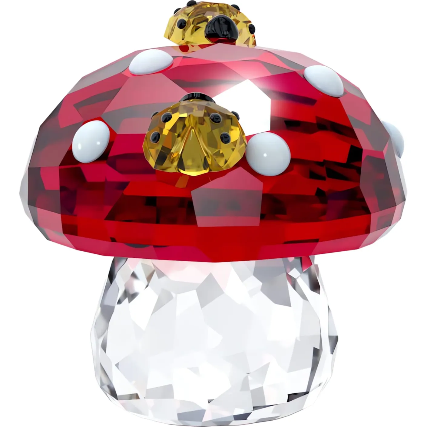 Idyllia Fungo e Coccinelle