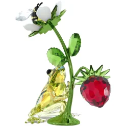Idyllia Rana
