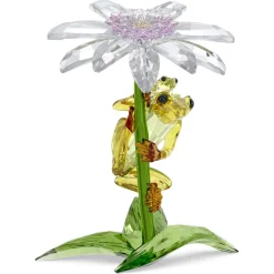 Idyllia Rane e Fiore
