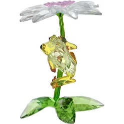 Idyllia Rane e Fiore