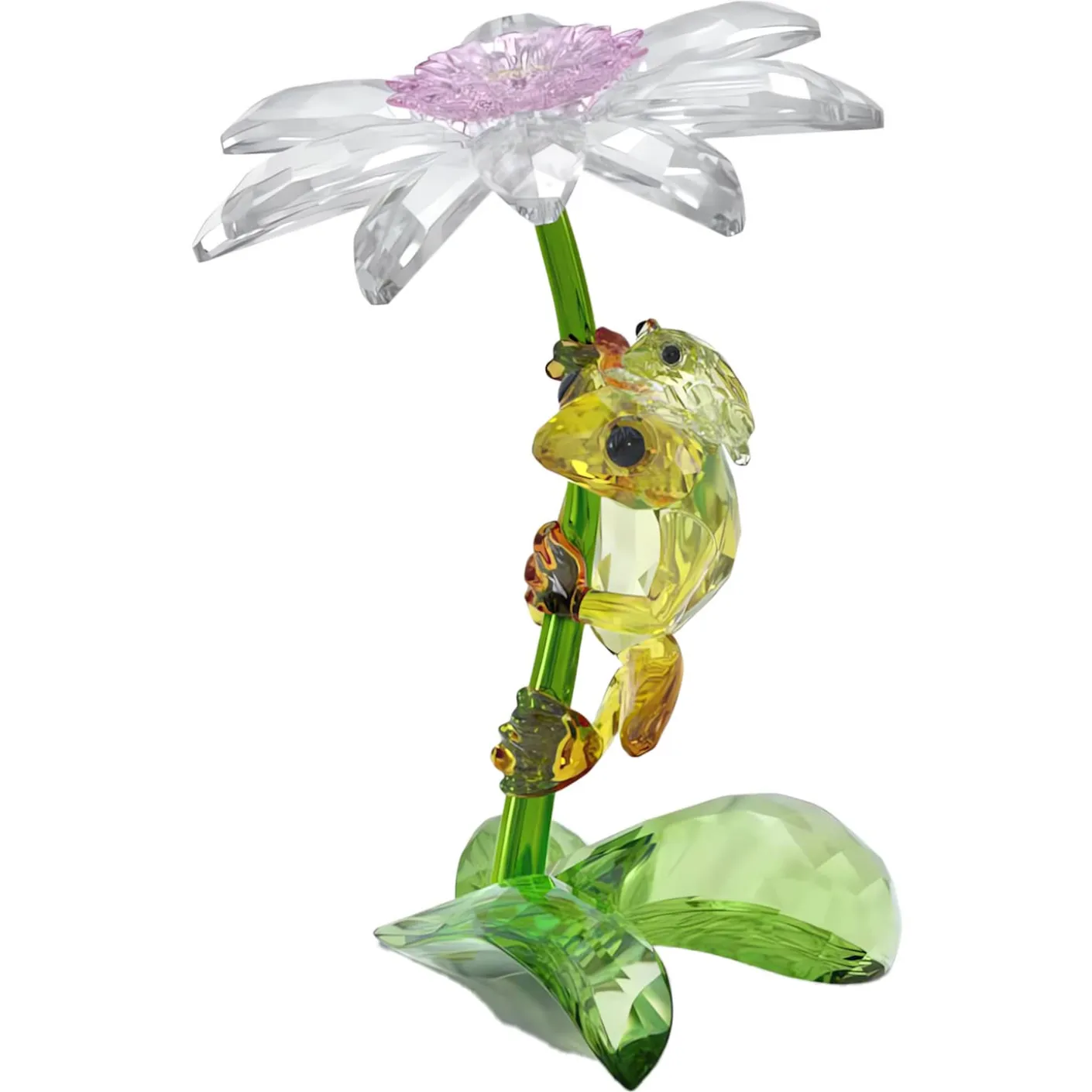Idyllia Rane e Fiore