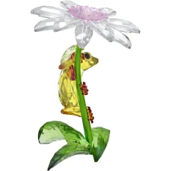 Idyllia Rane e Fiore