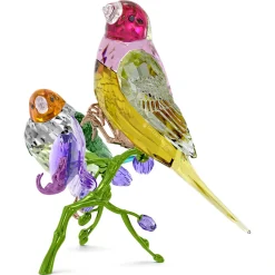 Idyllia SCS Edizione Annuale 2024 Diamanti di Gould