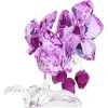 Orchidea
