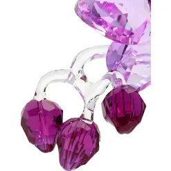 Orchidea